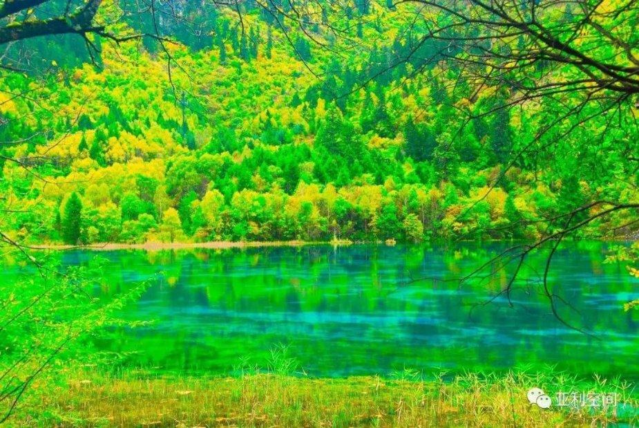 斗鱼28级粉丝牌大概要多少钱游戏画面