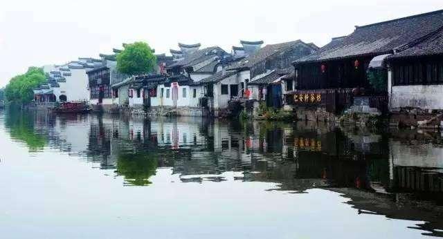 白色森林逃脱
