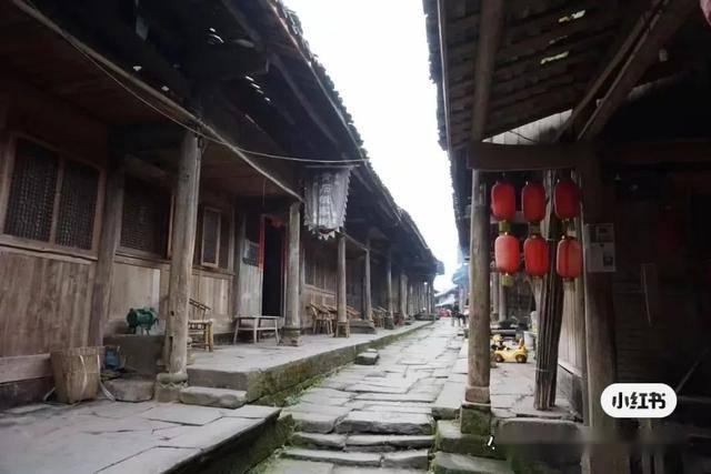天鹅森林逃脱